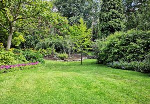 Optimiser l'expérience du jardin à Artannes-sur-Indre